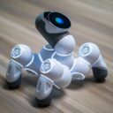 The Evolution of Home Robotics: Your Ultimate Guide to the Best Bots of 2026