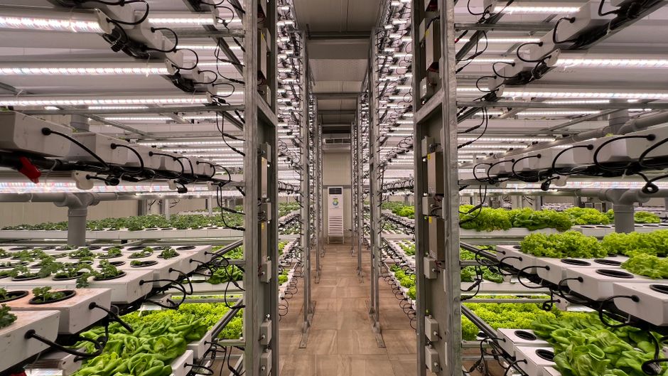 The Dawn of Vertical Agriculture: Reshaping Urban Landscapes in 2026